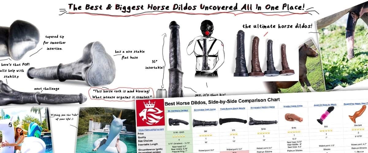 Horse Dildo All The Way In