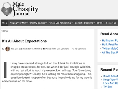male chastity journal