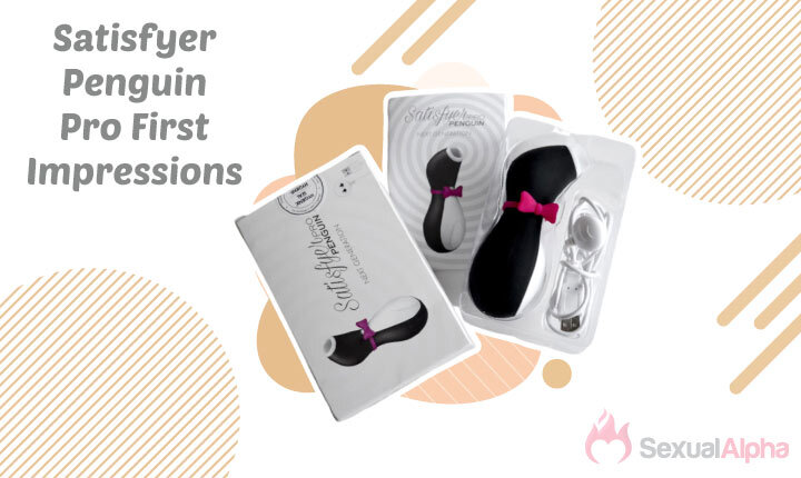 satisfyer penguin