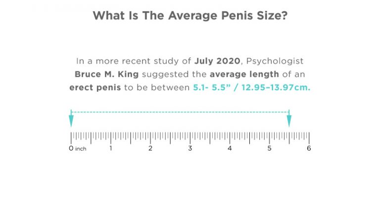 Comparing The Average Penis Size And Pornstar Penis Size [2025]