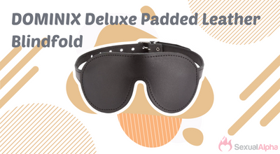 Dominix Deluxe Padded Leather Blindfold