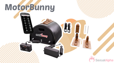 MotorBunny
