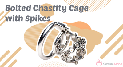 Bolted Chastity Cage with Spikes