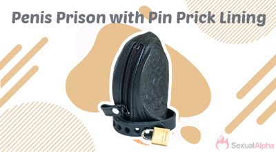 Penis Prison with Pin Prick Lining
